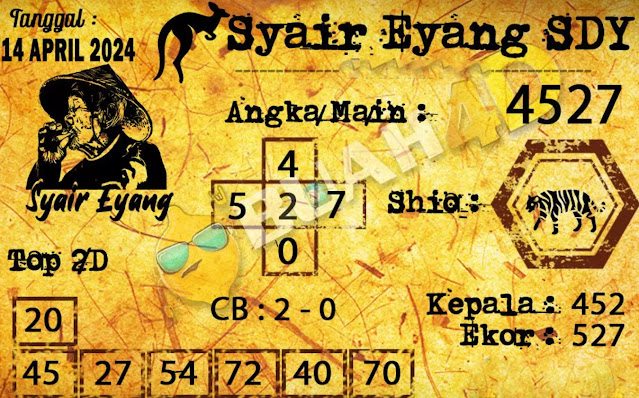 SYAIR SDY VIP